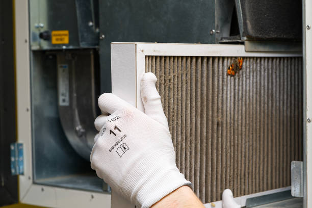 Best Air Duct Cleaning Near Me  in Holmes Beach, FL