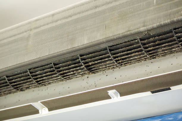 Best Duct Cleaning for Offices  in Holmes Beach, FL